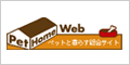 ybgz[Web